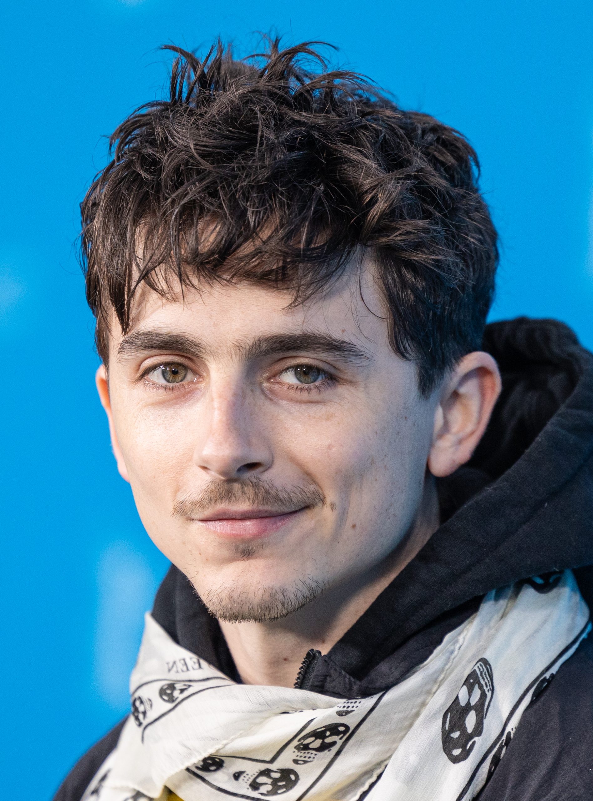 Timothée Chalamet Biography, Age, Career, Net Worth & Cinema Journey 1 timoth e chalamet featured scaled